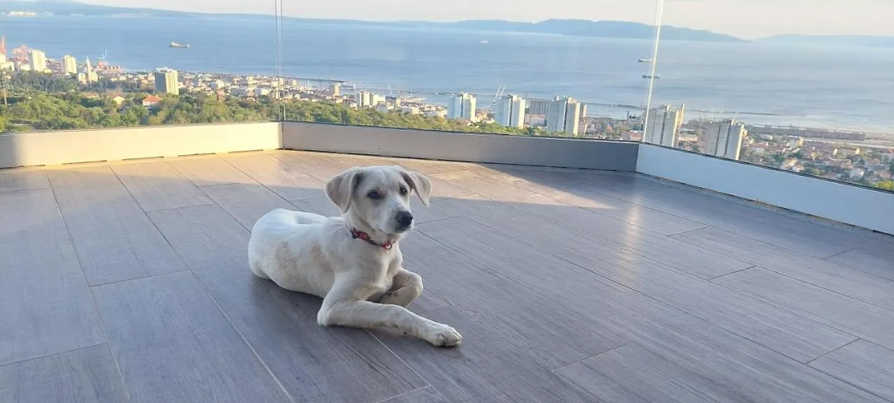 Drenova View Apartment Rijeka 0*,  Croatia